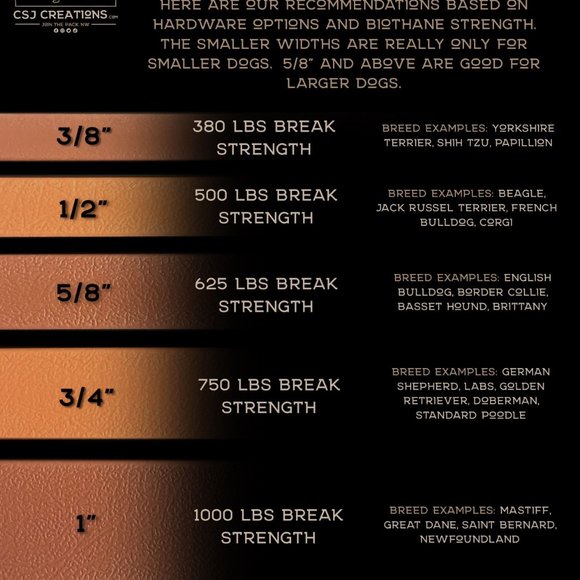 5' USA Made Biothane Dog Leash - 1/2" width waterproof, stink proof - Red/Brass - Picture 2 of 3